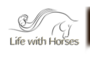 final life with horses1