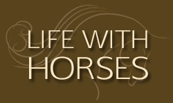 lifewithhorses1